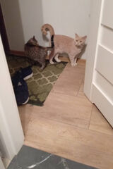 Фотография пользователя cichy1222