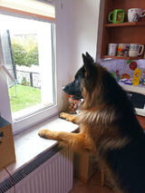 Фотография пользователя Rafal7450Wr