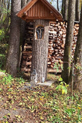 Zdjęcie użytkownika Leonardo8