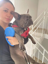 Фотография пользователя annbelangel12