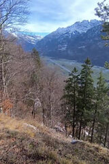 Zdjęcie użytkownika bielakp747