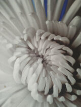 Фотография пользователя sebogif