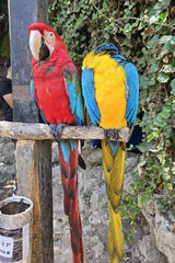 Фотография пользователя Hunter60