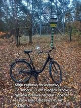 Zdjęcie użytkownika maciejskonieczny5