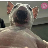 Zdjęcie użytkownika misiukutas