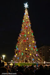 Zdjęcie użytkownika bmwsportdina