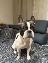 Фото користувача roickia399