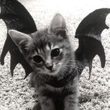 Фотография пользователя marcinkk18