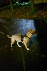 Zdjęcie użytkownika DarekRawski