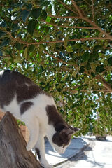 Zdjęcie użytkownika mimom71711976