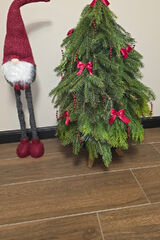 Zdjęcie użytkownika Lencix