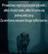 Zdjęcie użytkownika DaJana1