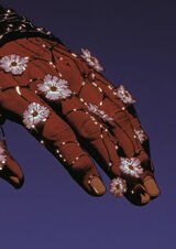 Фотография пользователя Olawiga