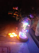 Zdjęcie użytkownika PrincessAngel1989