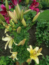 Фотография пользователя zakopane7676