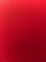 Benutzerfoto Adam1684