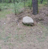 Фотография пользователя pawelo2356