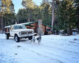 Benutzerfoto Joewoodes