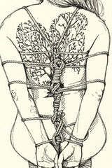 Benutzerfoto MeinKleinerFuchss