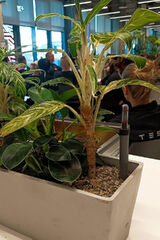 Benutzerfoto Dobrykolo