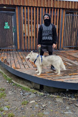 Zdjęcie użytkownika Milonator