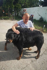 Zdjęcie użytkownika LukaszGr