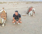 Фотография пользователя wiadomski23