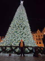 Фото користувача MKarp