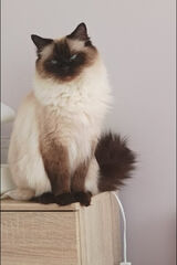 Benutzerfoto PoznamNapisz