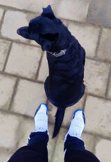 Фотография пользователя xTADEOx