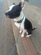 Benutzerfoto kadar0094