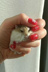 Zdjęcie użytkownika Schola86