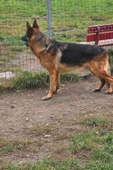 Zdjęcie użytkownika lukaszobuszewski76