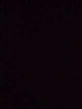 Benutzerfoto u7055286266