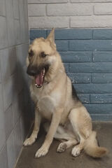 Фото користувача Peter1410