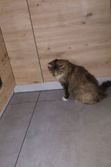 Фотография пользователя bos26