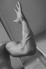 Benutzerfoto kuba499