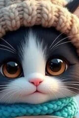 Фото користувача maciekwolski461970