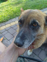 Фото користувача ra12dek