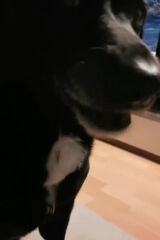 Фотография пользователя EEWCIAA24