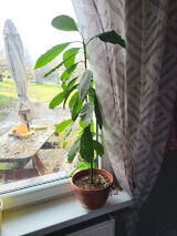 Benutzerfoto Tomciu12