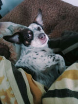 Фото користувача GoscinskiR