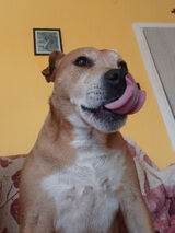 Фото користувача HasiukS