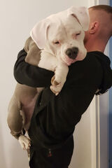 Фото користувача Kamil1986WWA