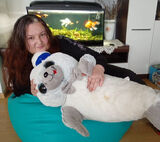 Zdjęcie użytkownika Reginahu