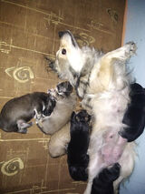 Фотография пользователя Kotkotwojciech