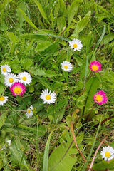 Фотография пользователя Tomasz7505