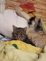 Фото користувача ZajebiSty1990