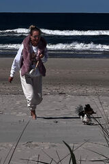 Photos Schmetterling100