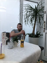 Foto utilizatorului wojtek542